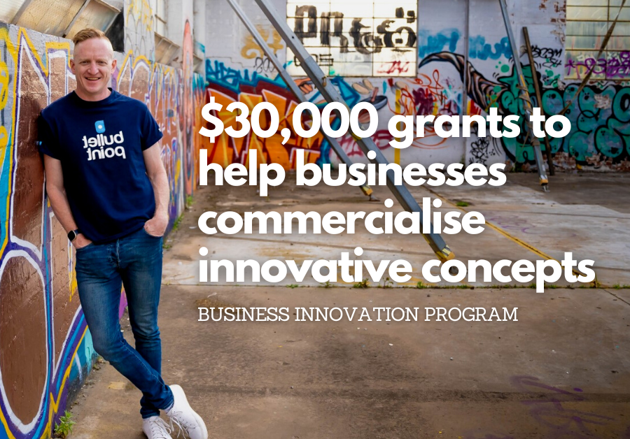 Business Innovation Program